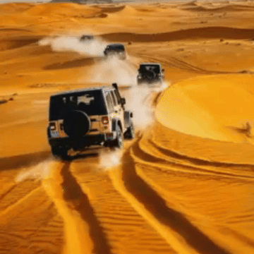 ronen's Video - Dec 2, 2024 - Original-VEED.gif
